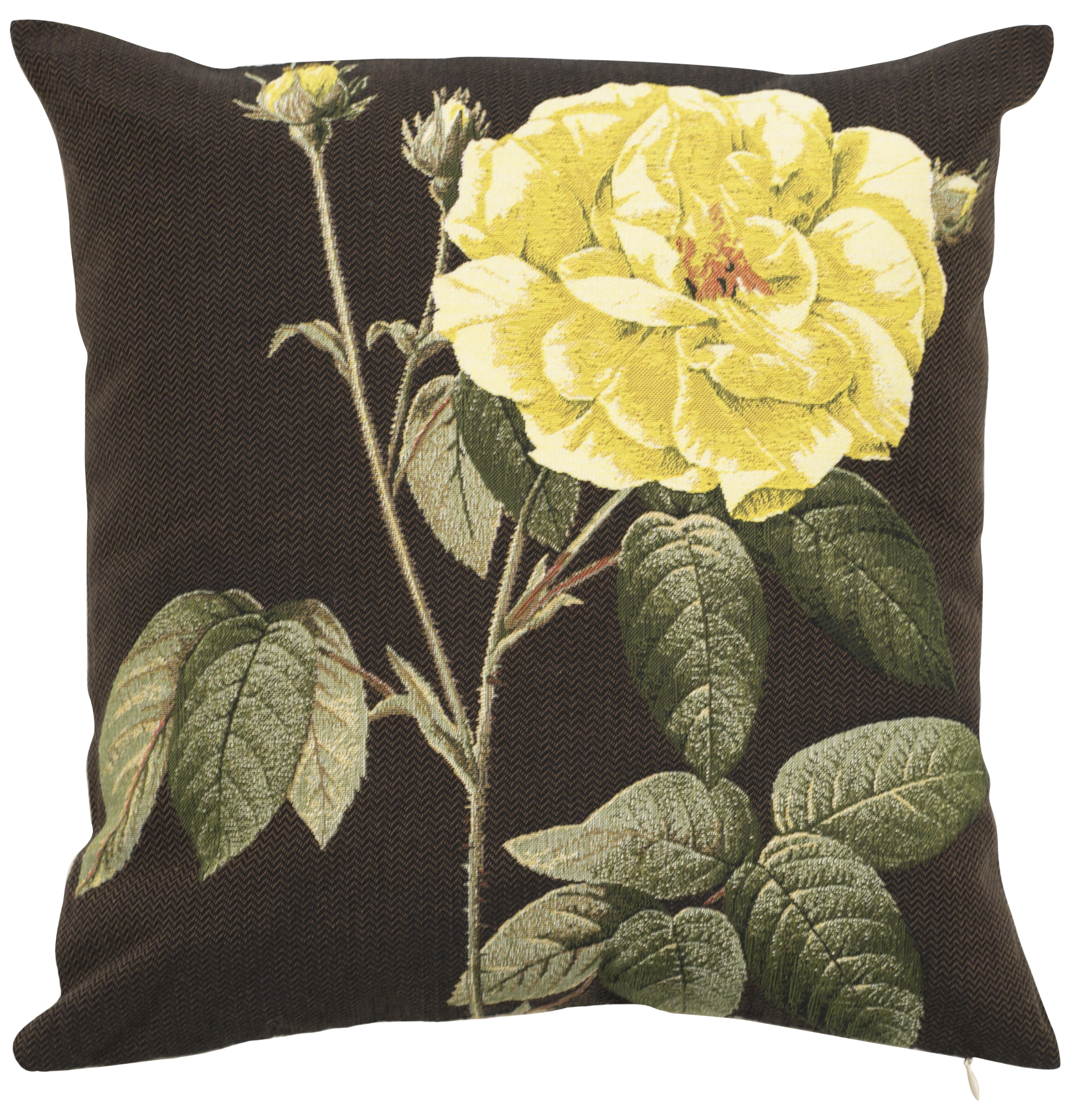 Pillow - Audrey - Yellow in Brown Background