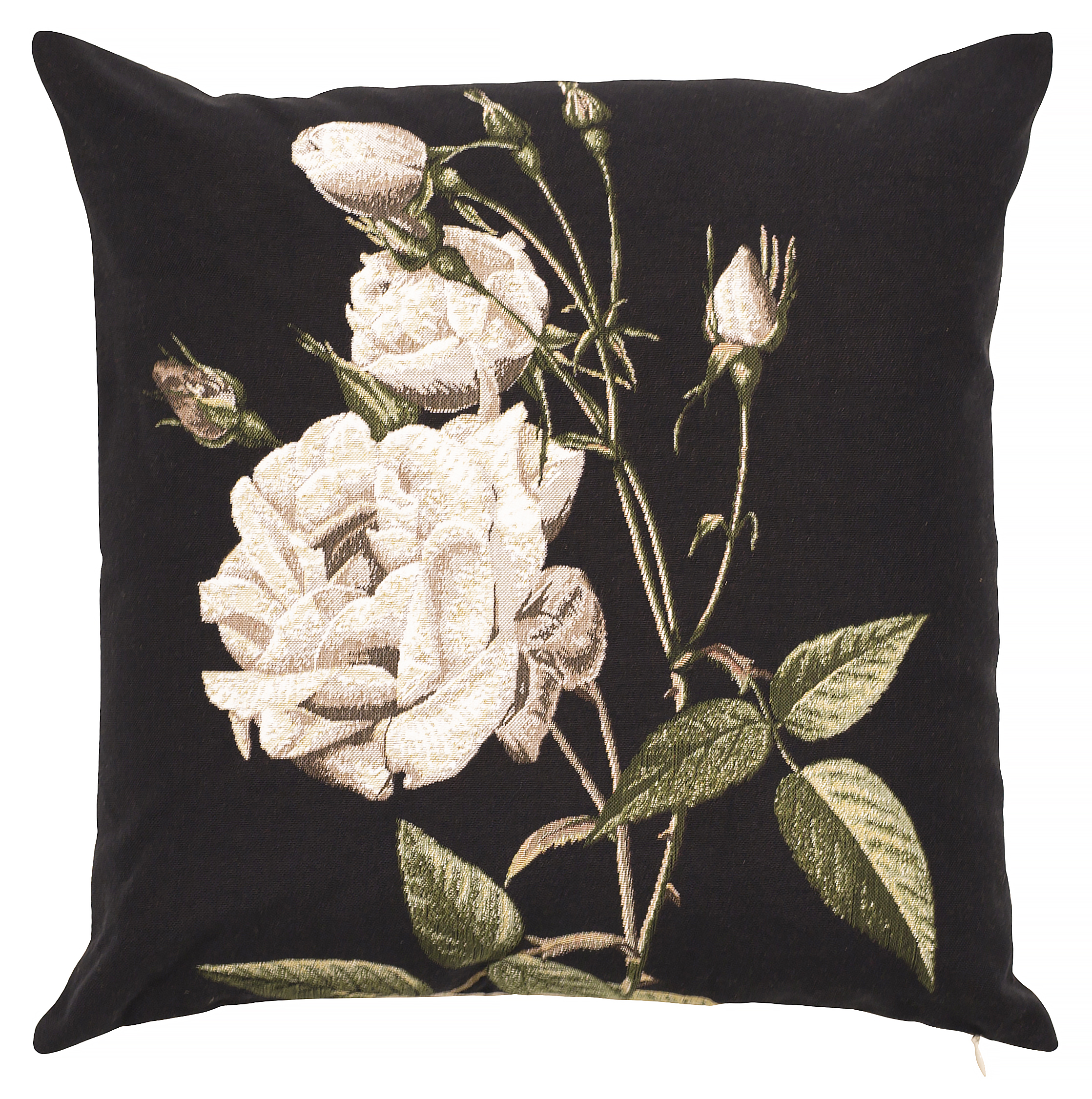 Pillow - Jane - White in Black Background