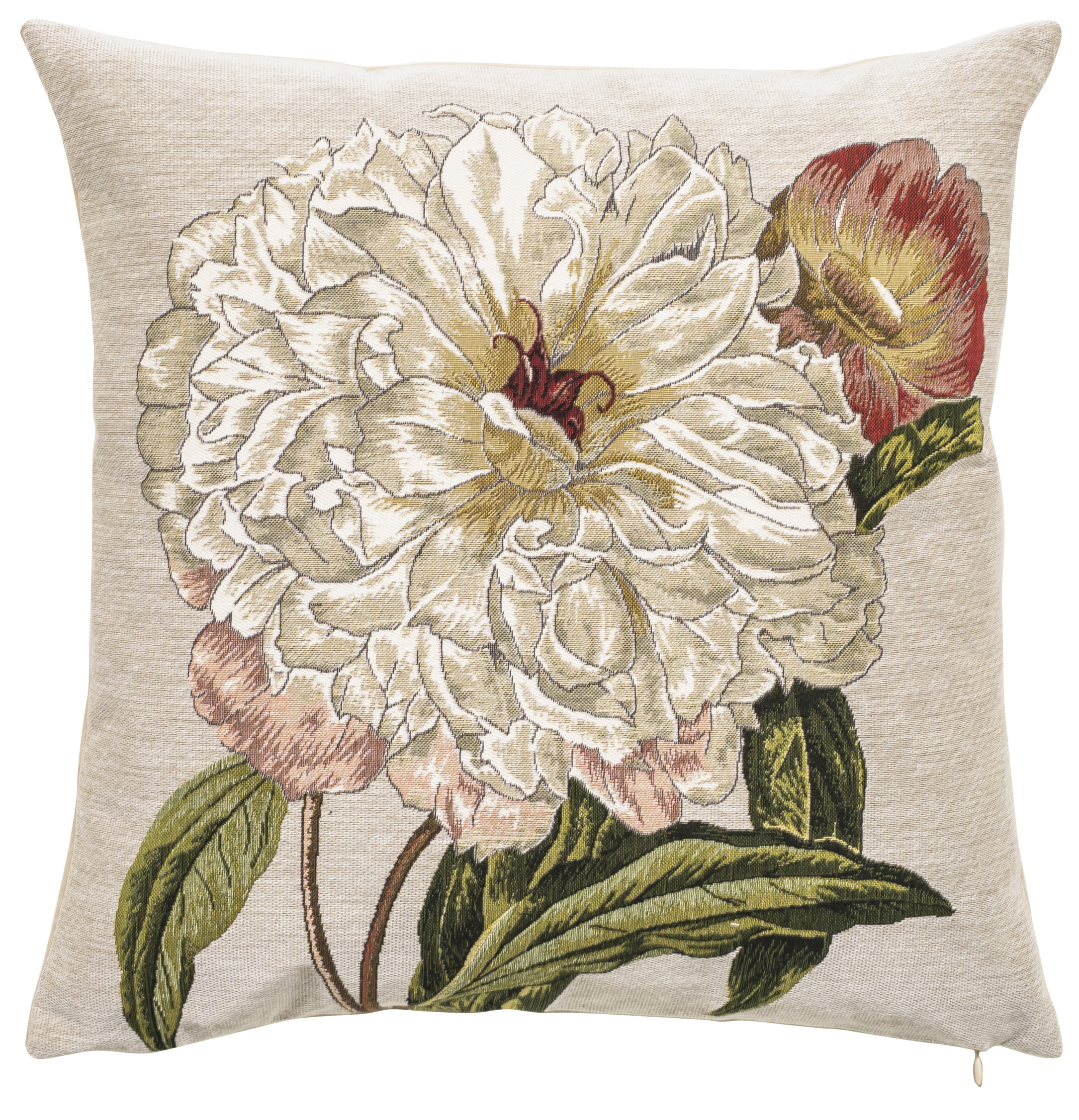 Coussin - Kate - Fond Blanc