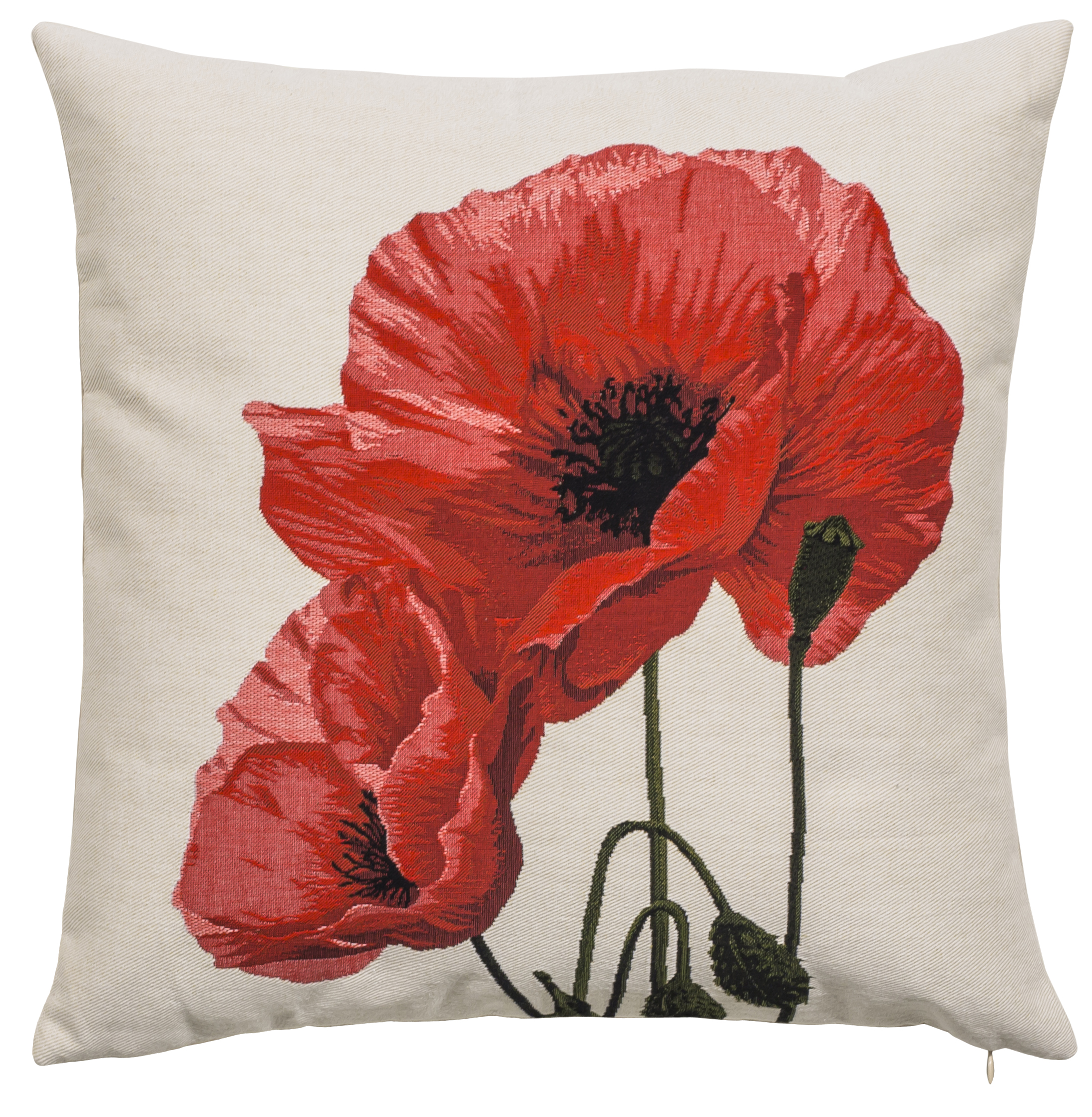 Coussin - Coquelicots 2 - Fond Blanc
