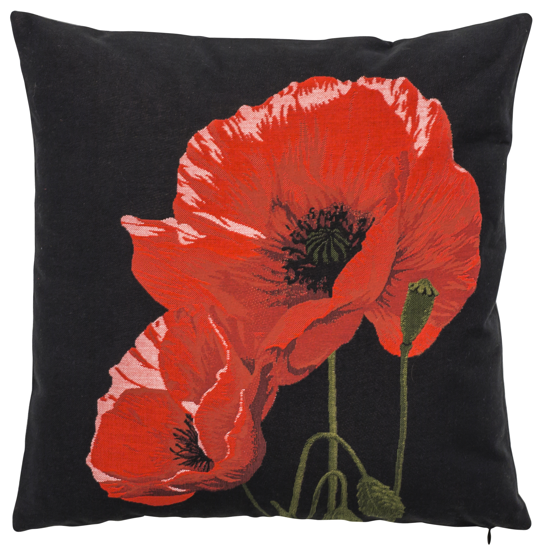 Pillow - Coquelicots 2 - Black Background
