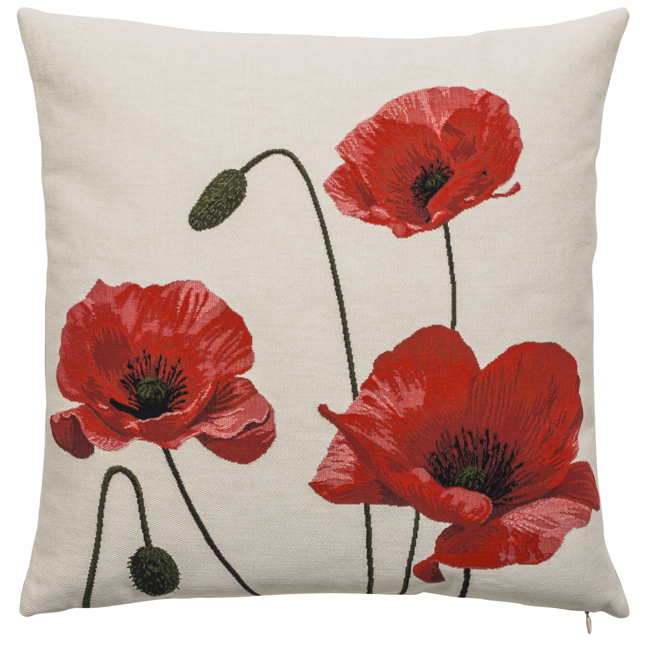 Pillow - Coquelicots 4 - White Background