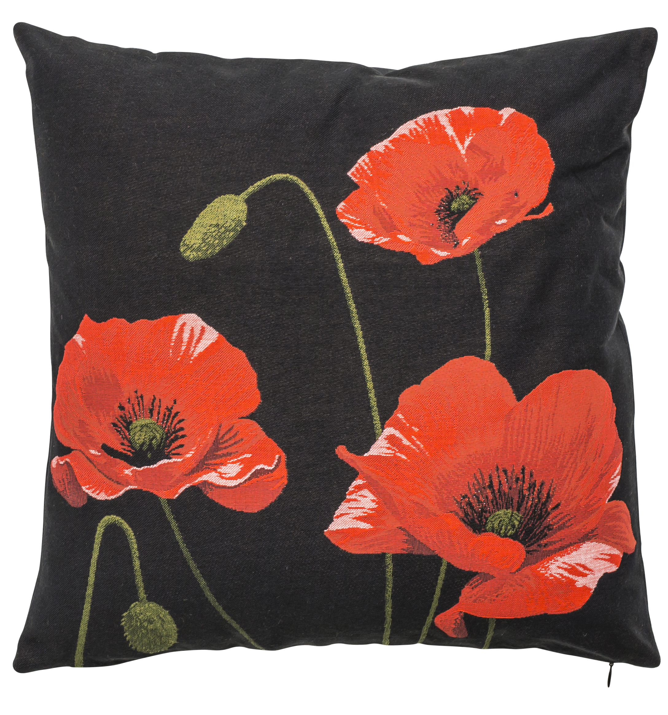 Pillow - Coquelicots 4 - Black Background